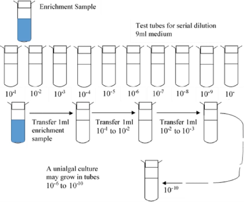 serial vs parallel dilution